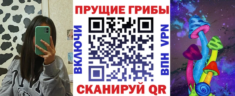 наркотики  Ишим  Псилоцибиновые грибы прущие грибы 